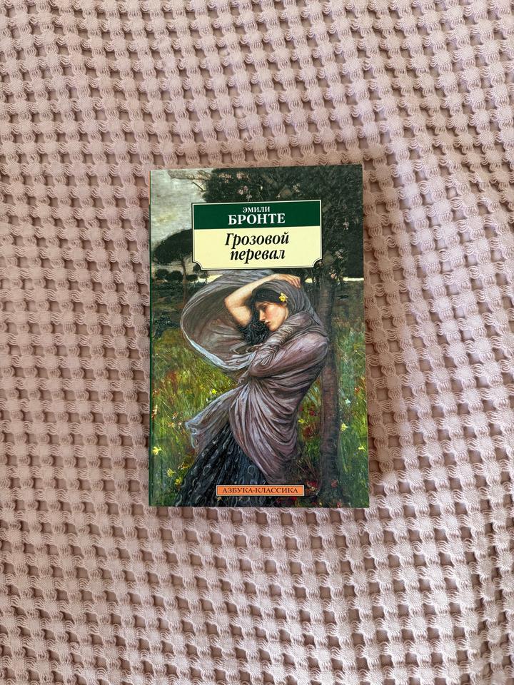 Книга Грозовой перевал новая