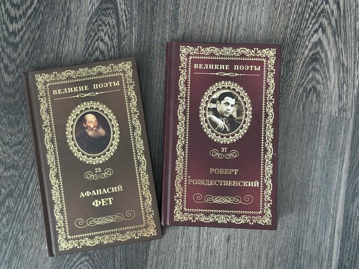 Великие поэты. Афанасий Фет. Роберт Рождественский.