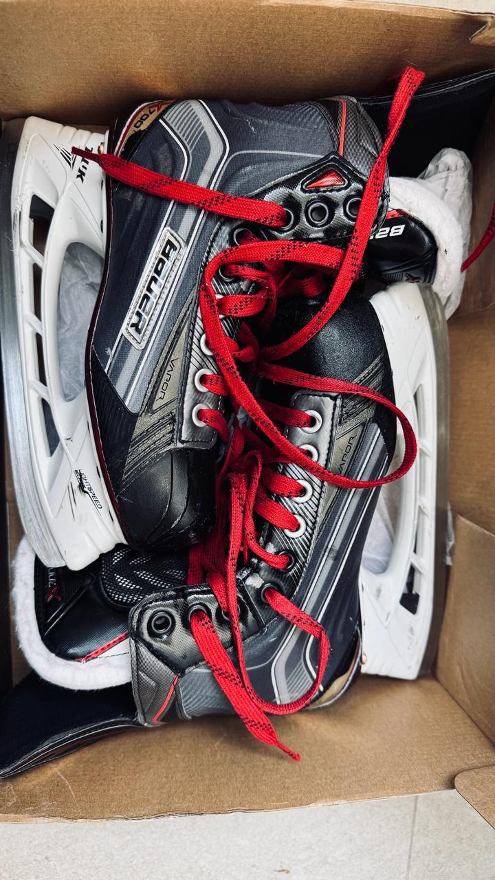 Bauer