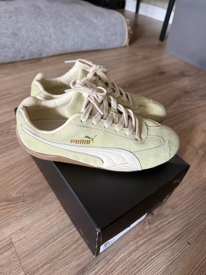 Puma