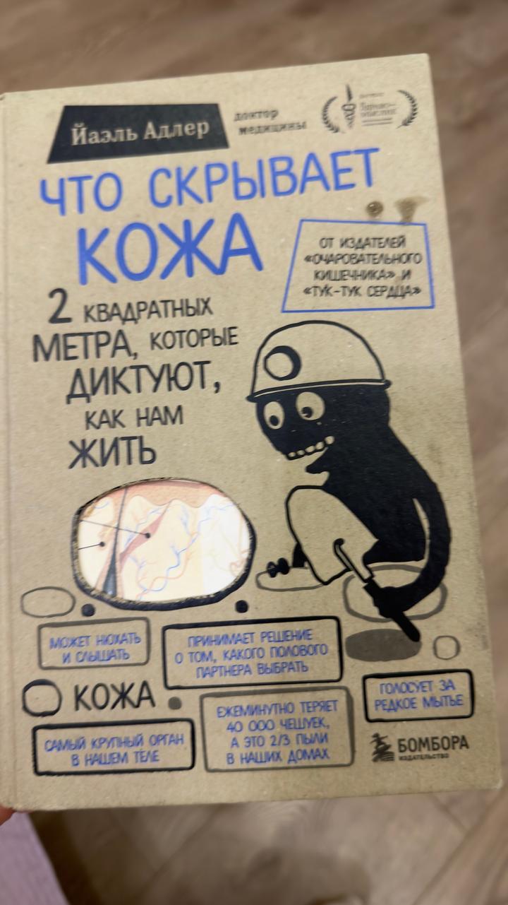 Что скрывает кожа
