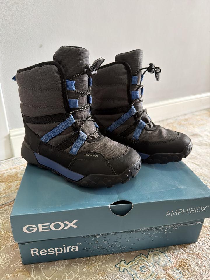 Ботинки Geox