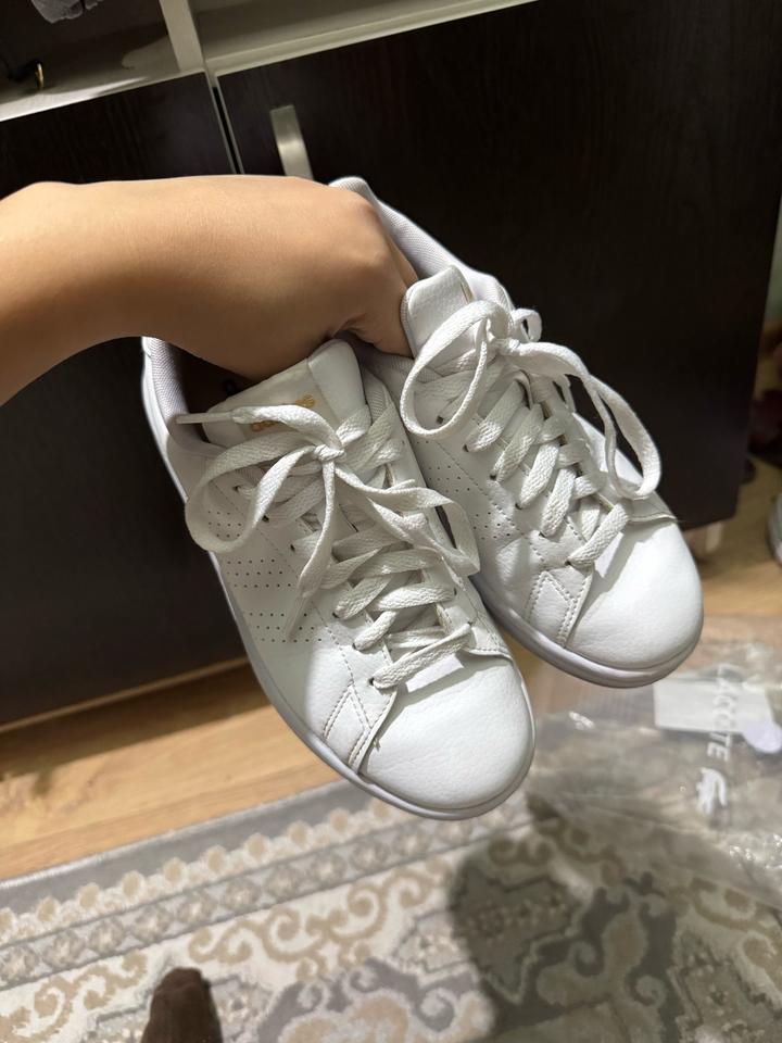 Кеды adidas