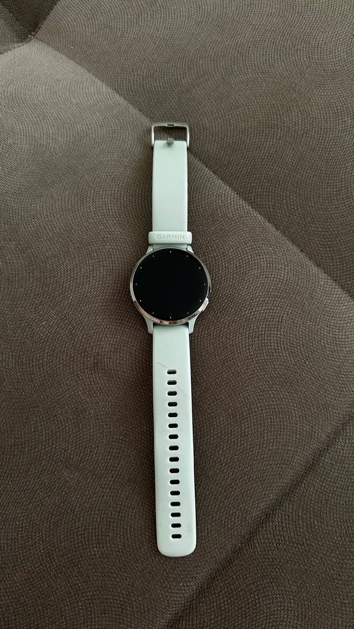 garmin