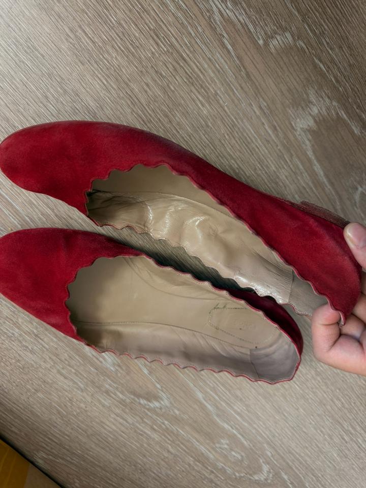 Балетки Chloé