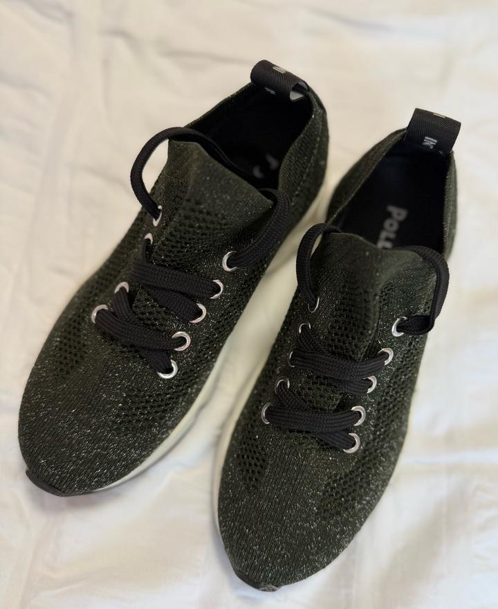 Pollini