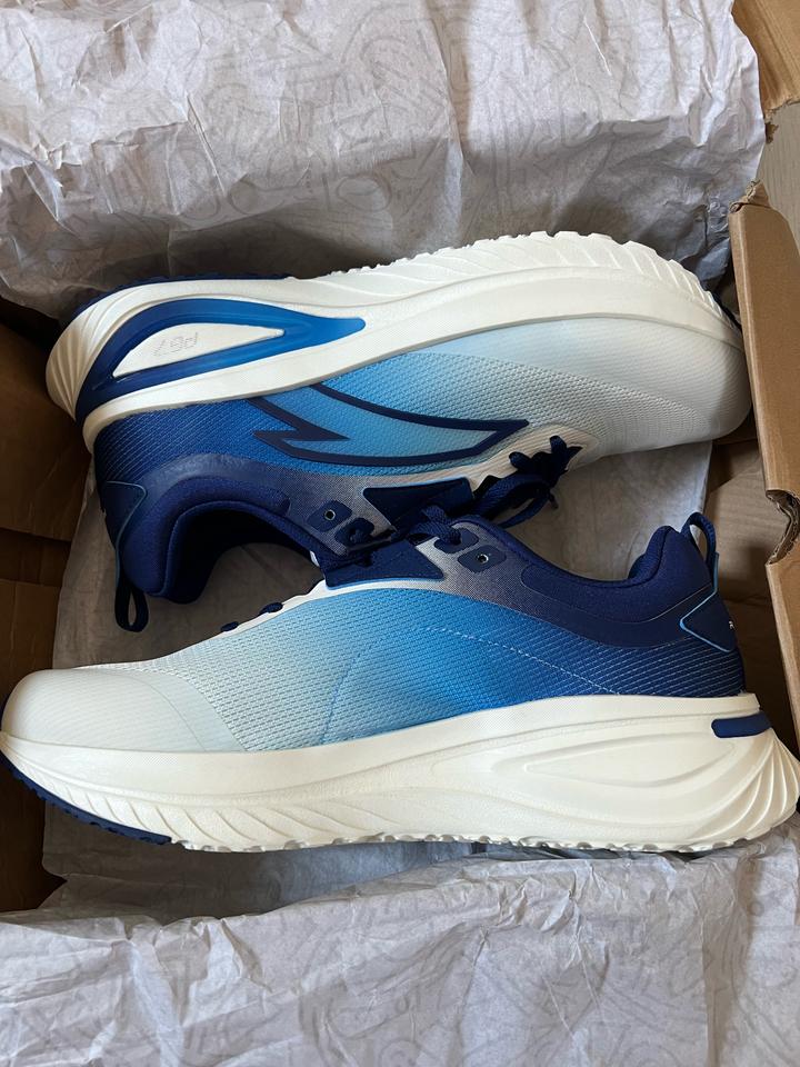 Anta
