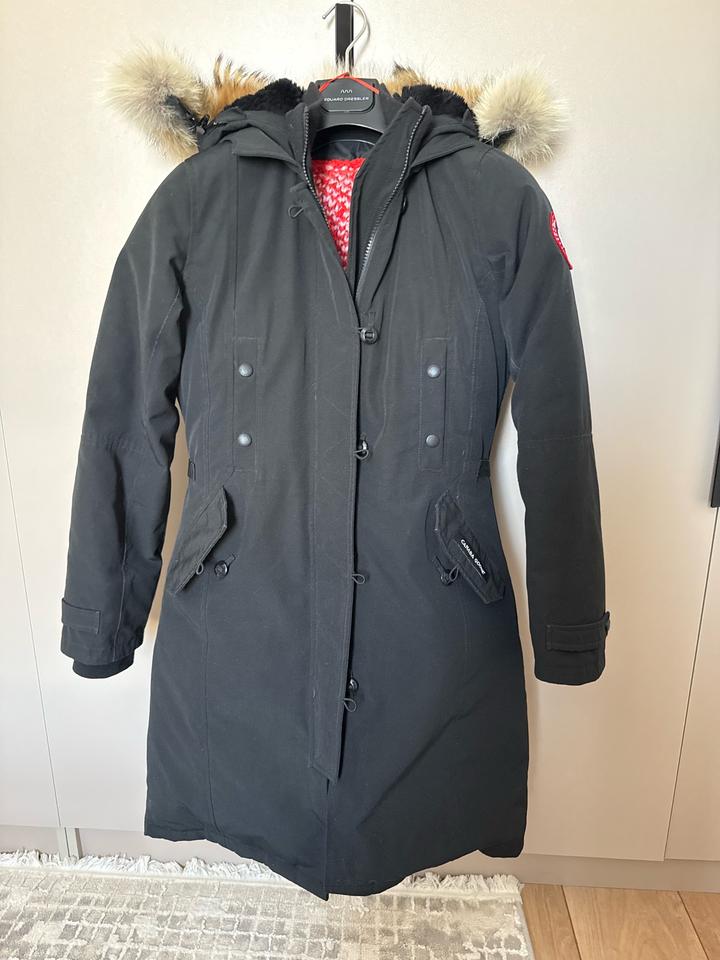 Canada Goose