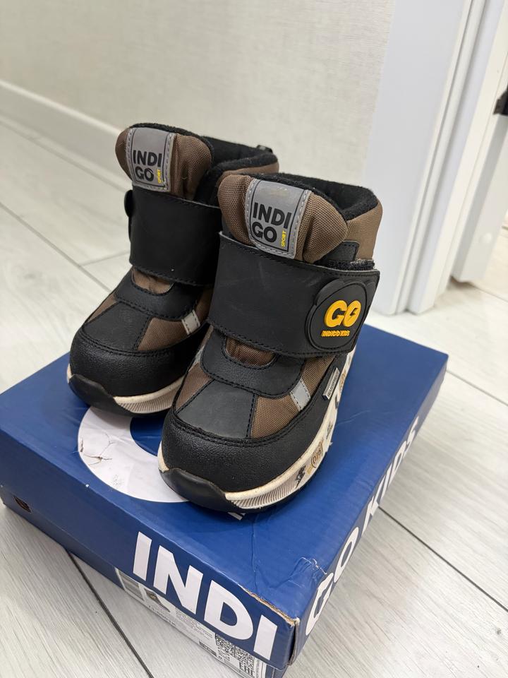 Indigo Kids