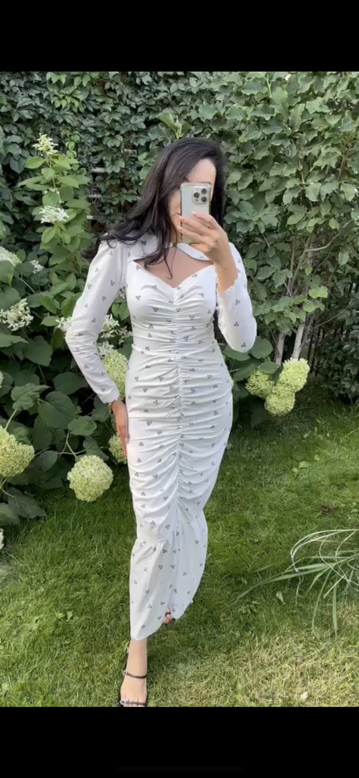 alisha atelier