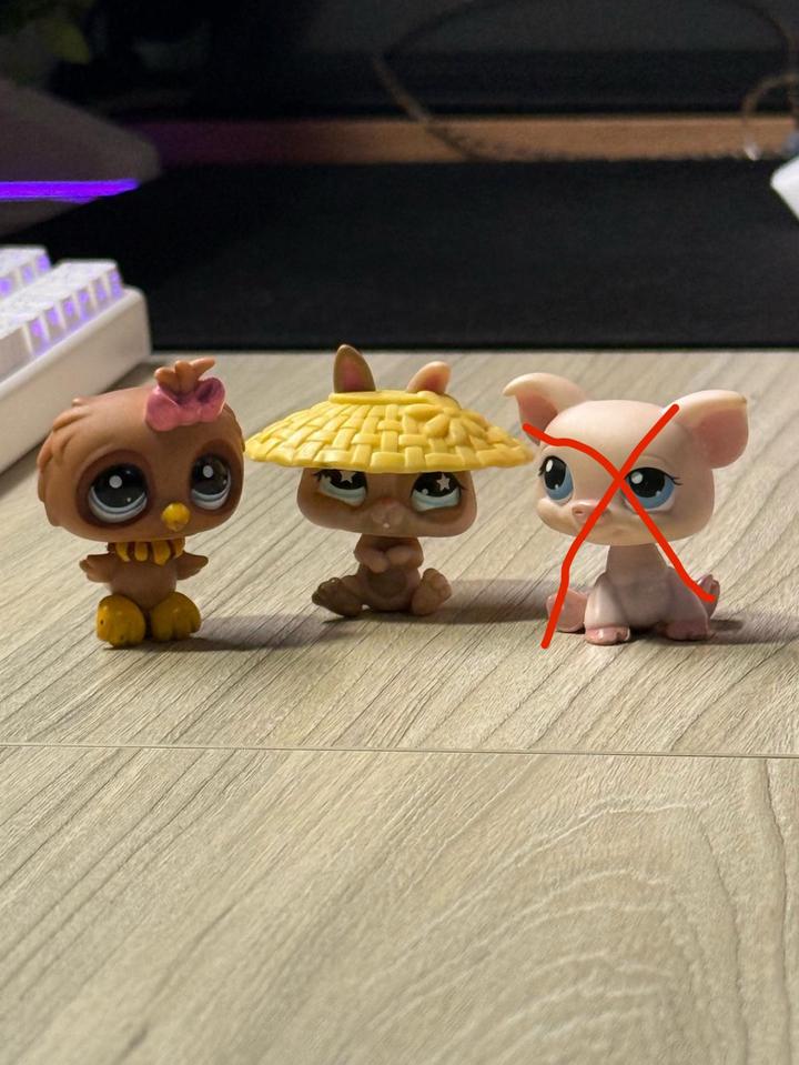 Hasbro