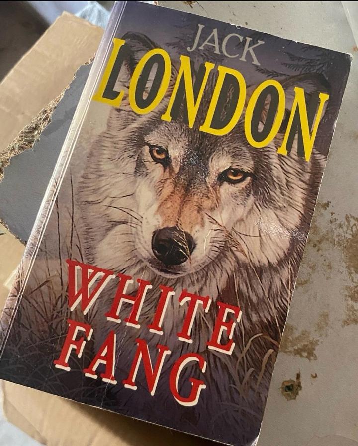 White Fang