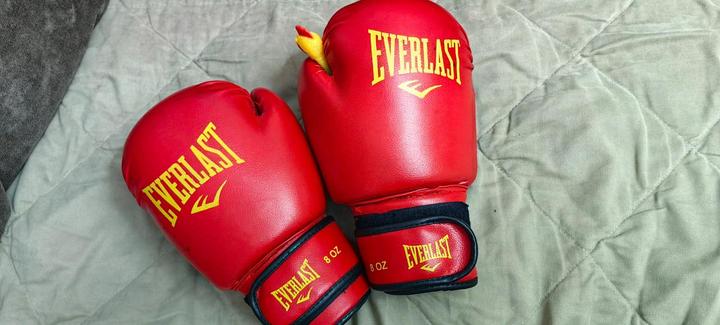 Everlast Перчатки боксерские
