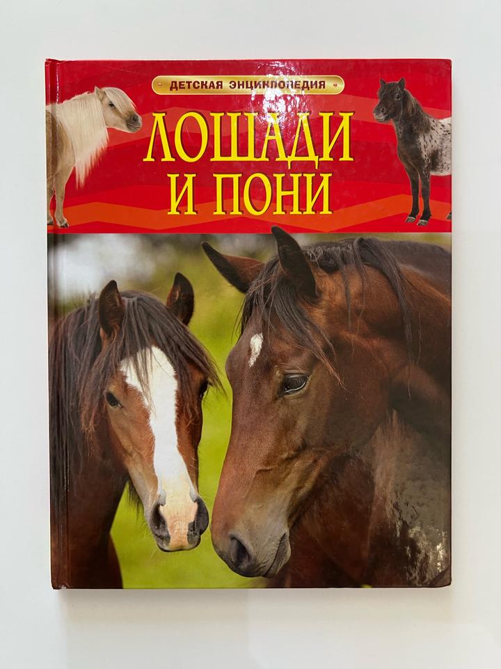 Лошади и пони