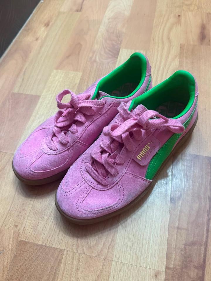 Puma
