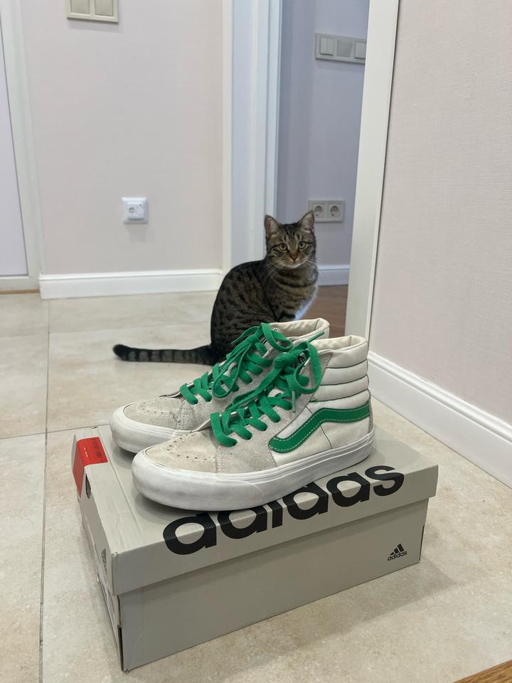 Vans