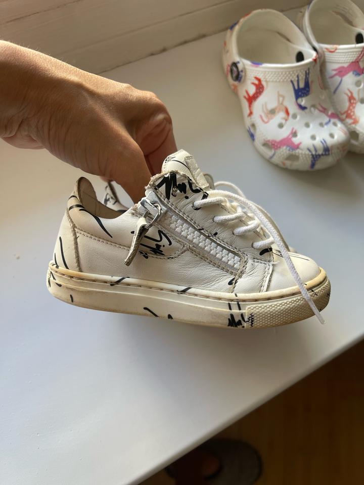 Giuseppe Zanotti