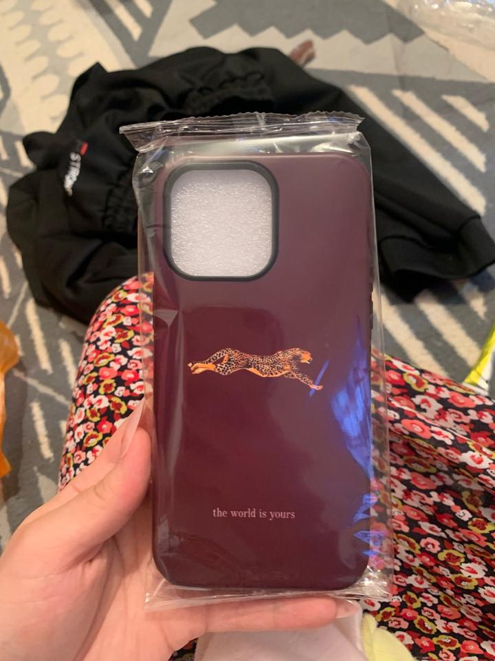 Чехол для iPhone 14 Pro Max с принтом гепарда