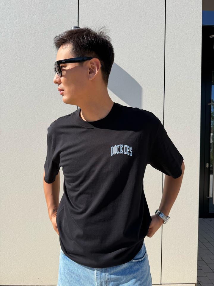 Футболка Dickies