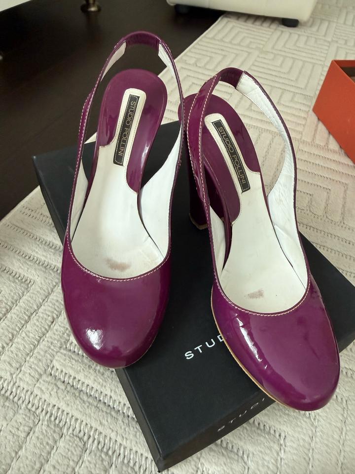 Pollini
