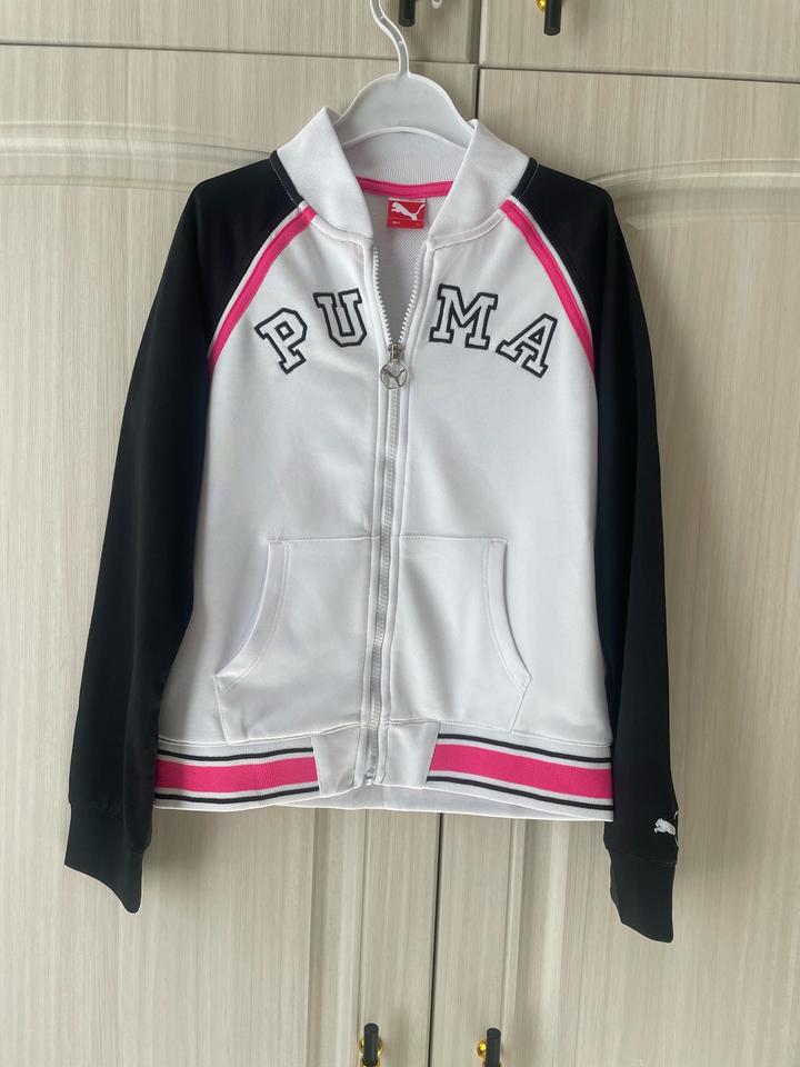 Puma