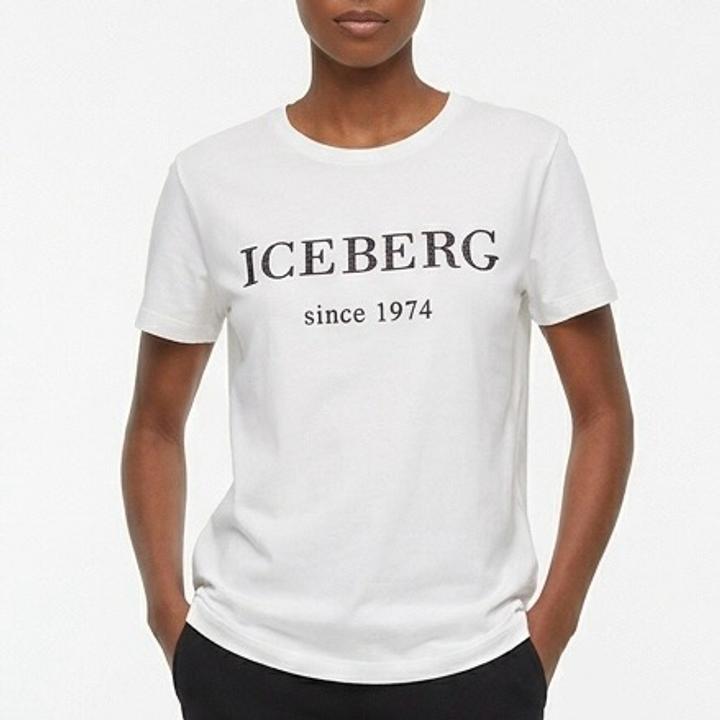 ICEBERG