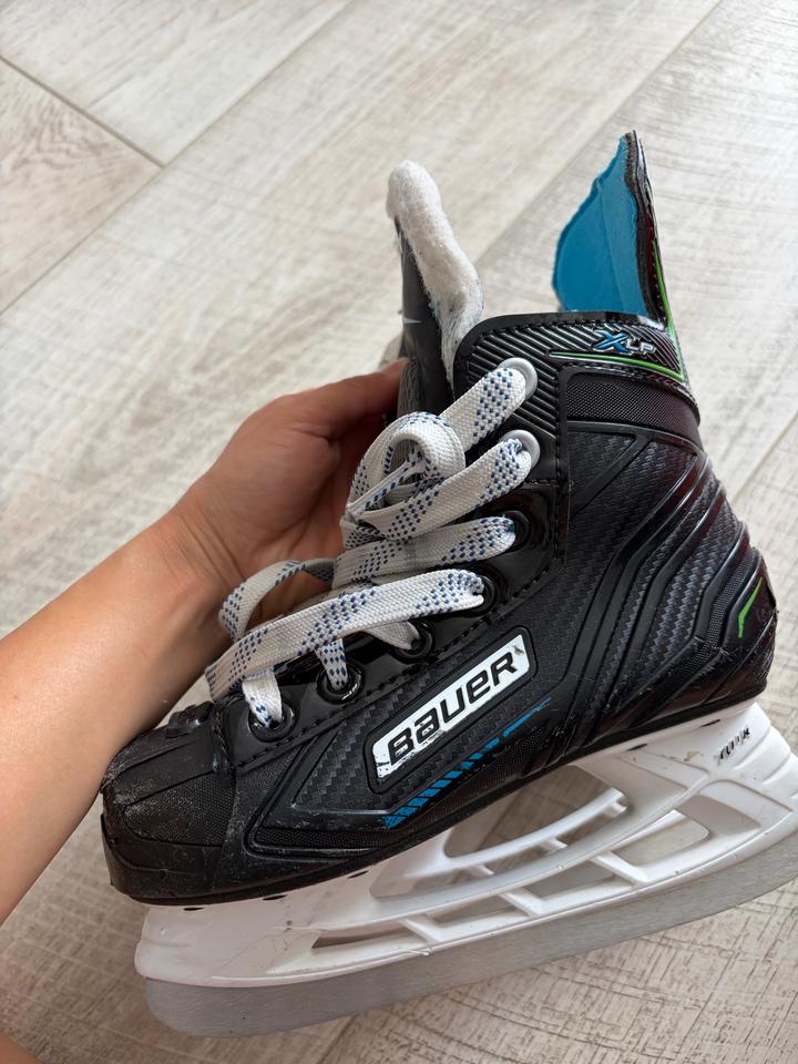 Bauer