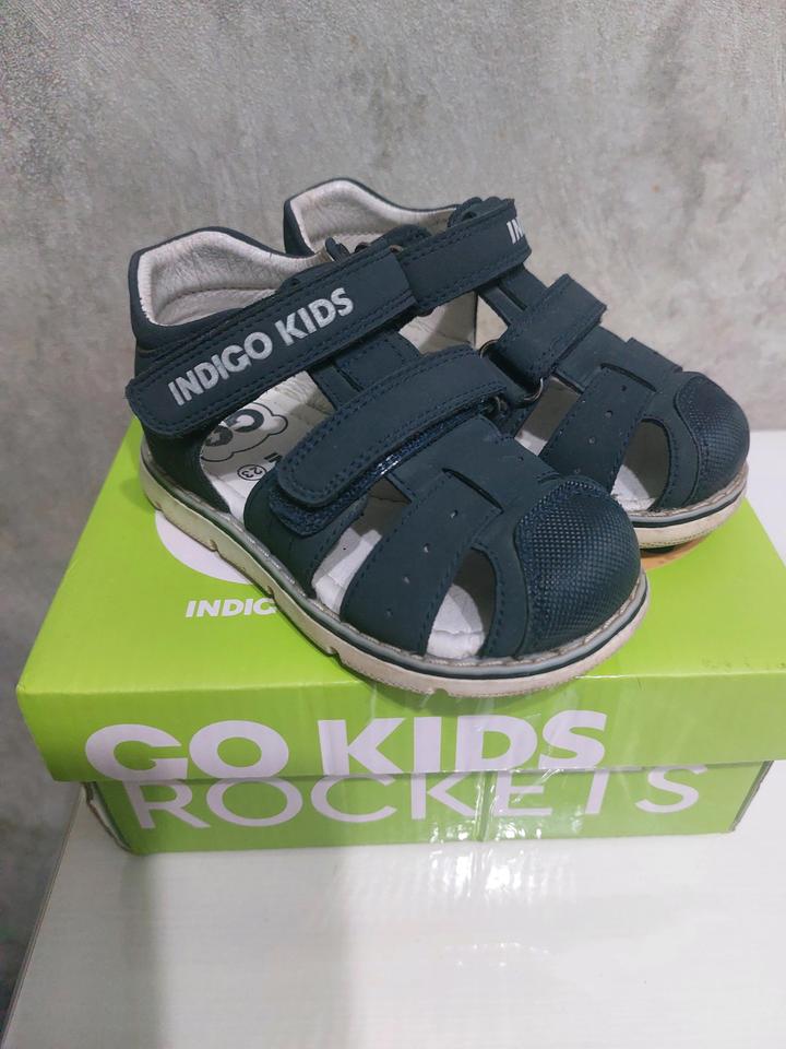 Indigo Kids