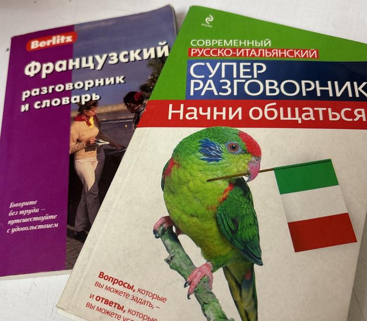 словарь итальянский и французский