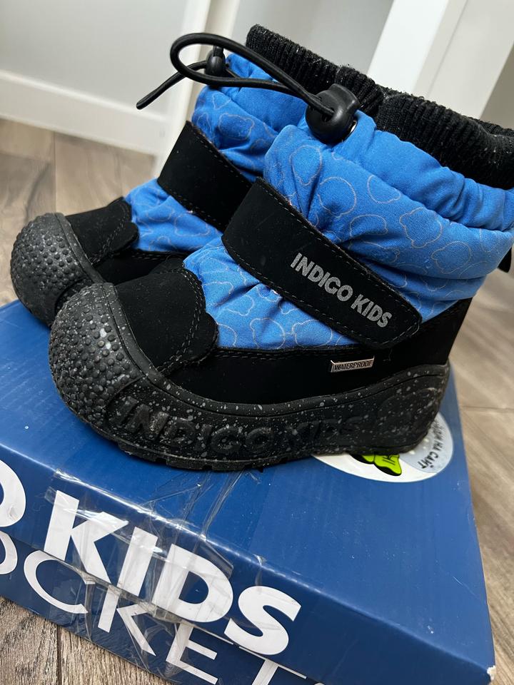 Indigo Kids