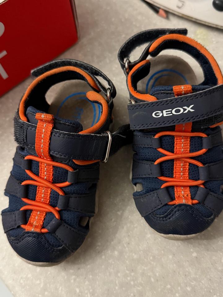 Geox