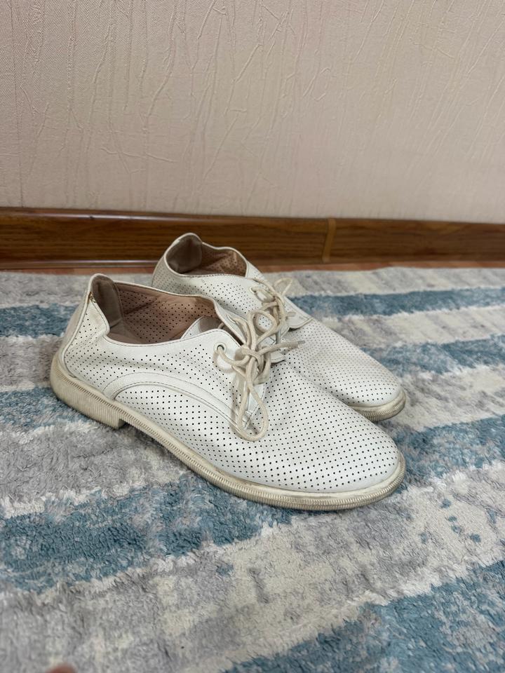 T.Taccardi Оксфорды