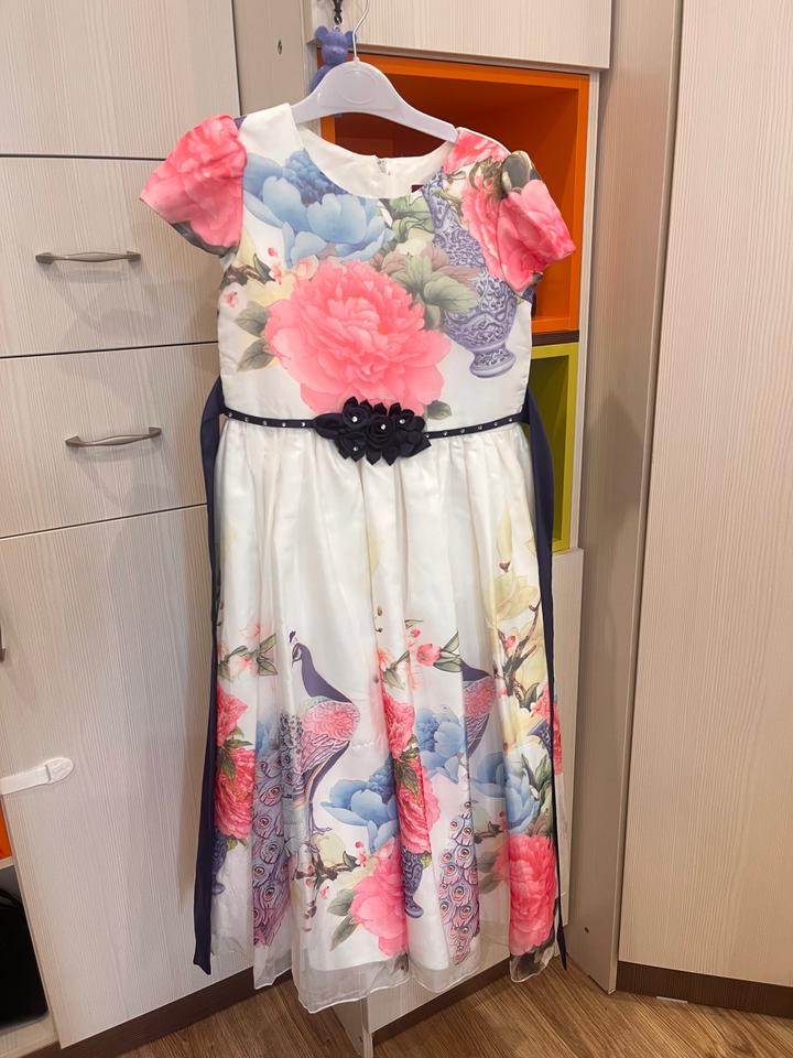 rodeng colletion