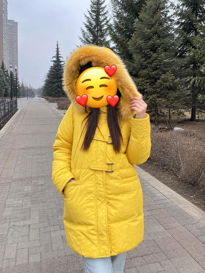 Snow Image