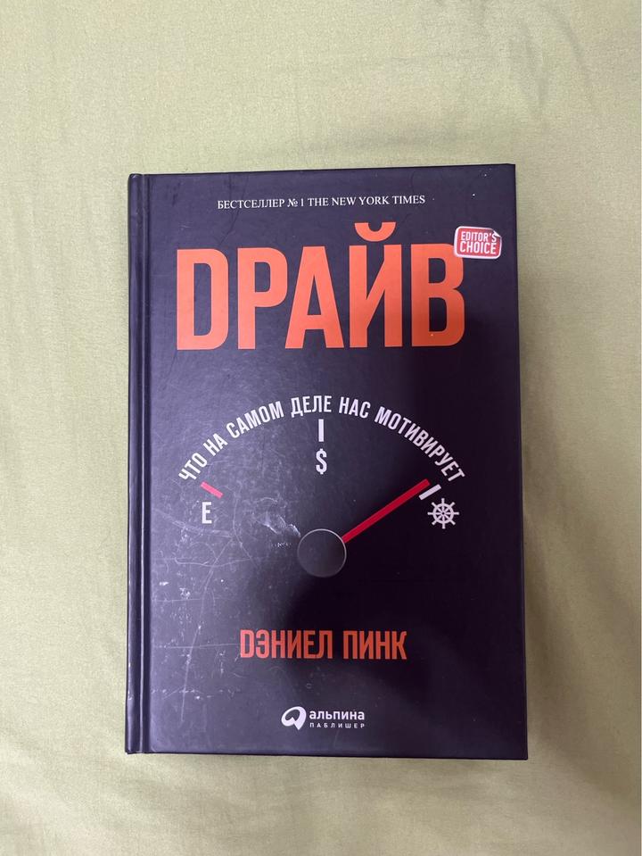 Книга «Драйв. Что на самом деле нас мотивирует» — Дэниел Пинк