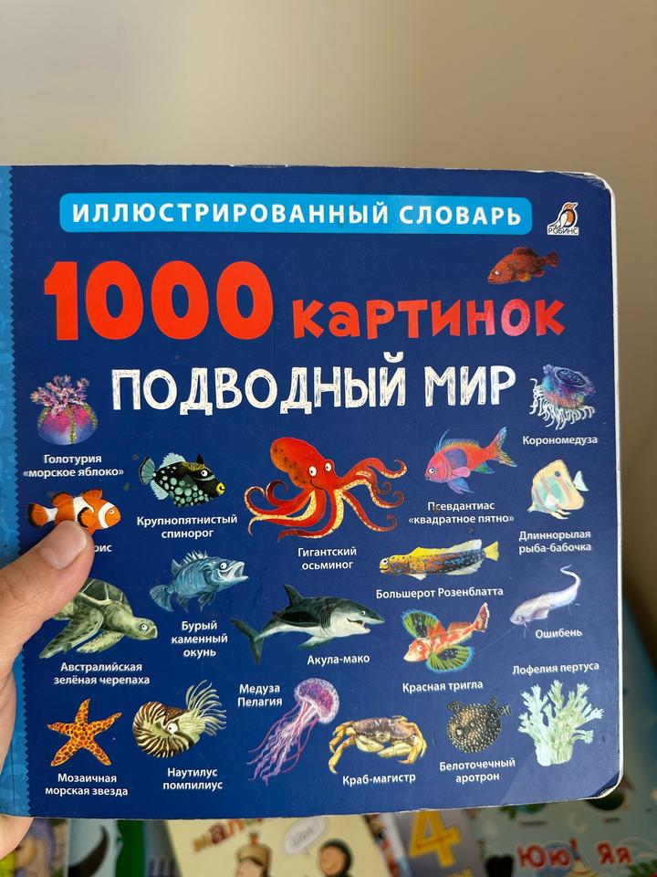 1000 картинок. Подводный мир