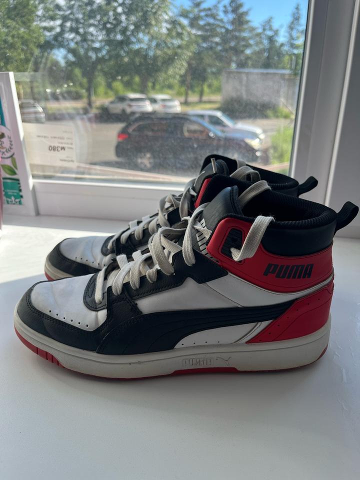 Puma