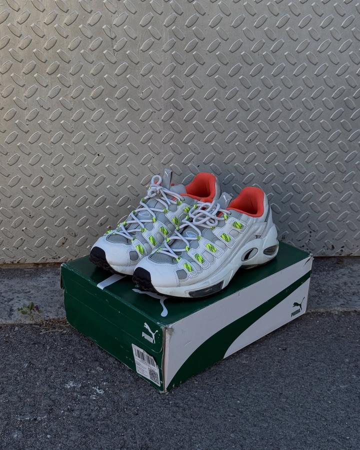 Puma