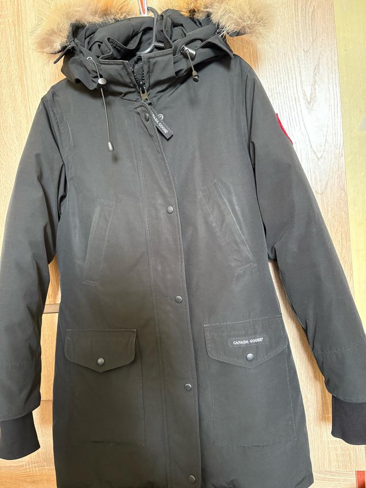 Canada Goose