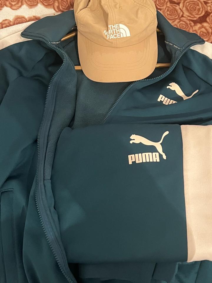 Puma
