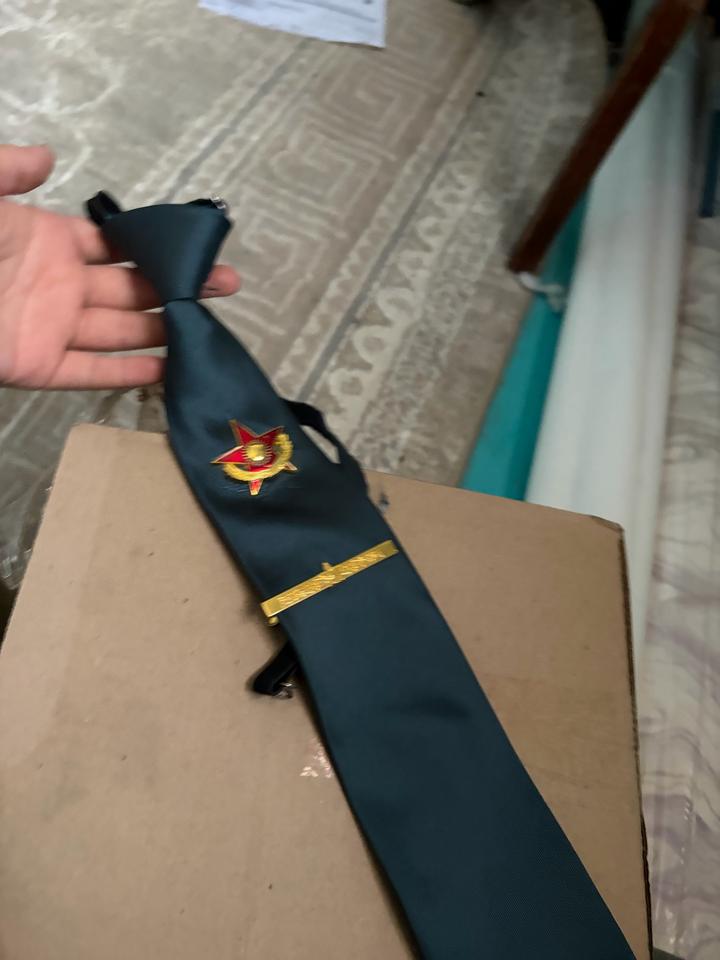 Мужской галстук с зажимом и значком