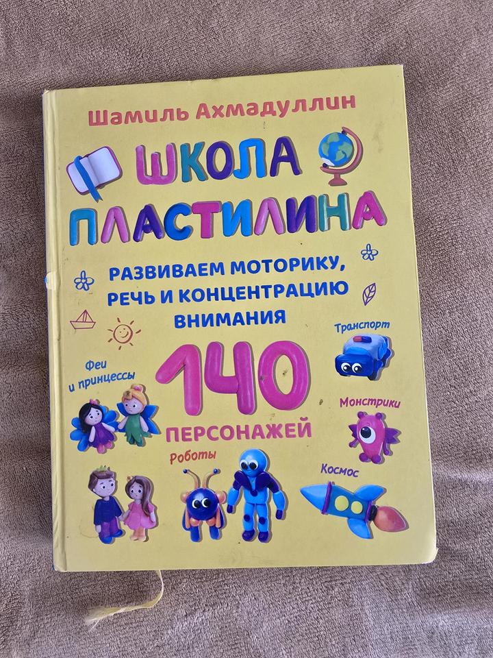 Книга Школа пластилина Шамиль Ахмадуллин