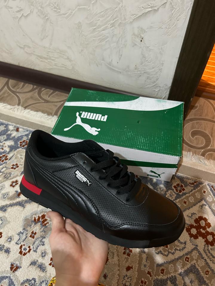Puma