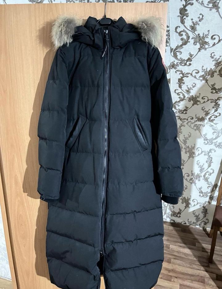 Canada Goose