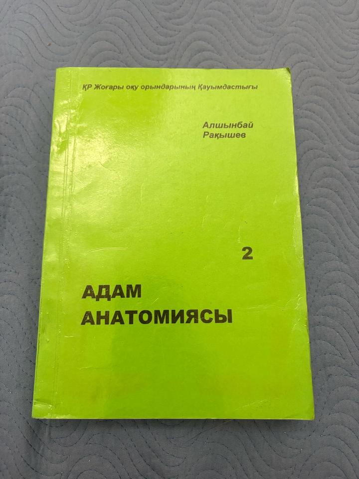 Адам анатомиясы
