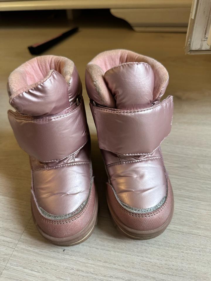 шаговита