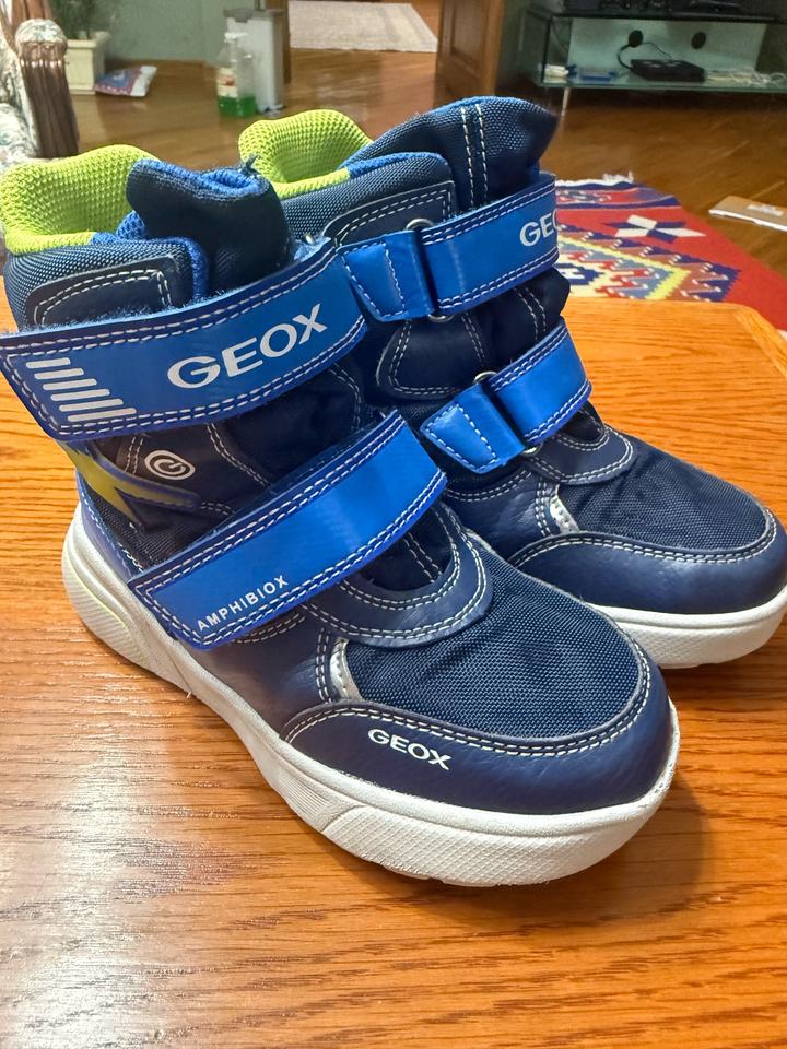 Зимние ботинки Geox