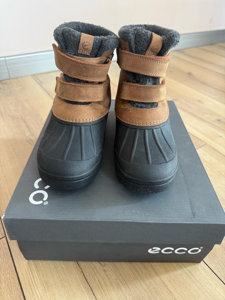 ECCO