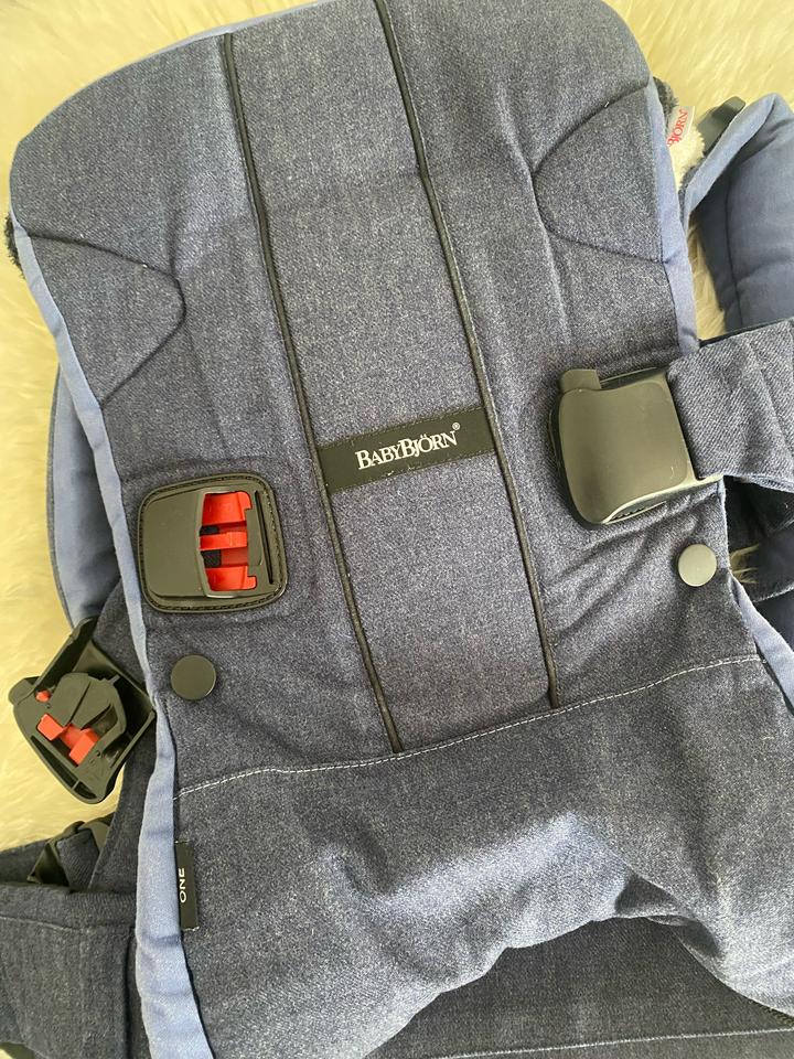 BabyBjorn
