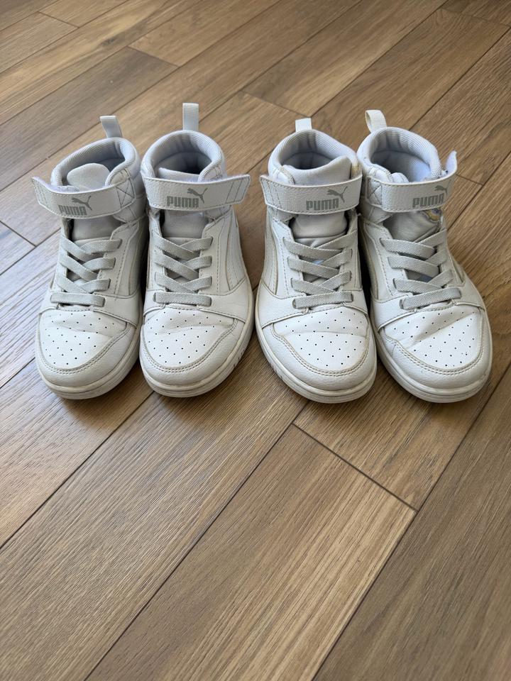 Puma